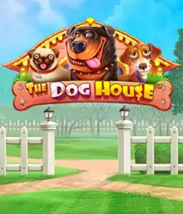 Experience Pragmatic Play's The Dog House Slot, bringing you an adorable journey into the world of lovable dogs. Engage in features such as sticky wilds, perfect for providing exciting wins. Perfect for pet lovers a cheerful setting and the opportunity to win big.